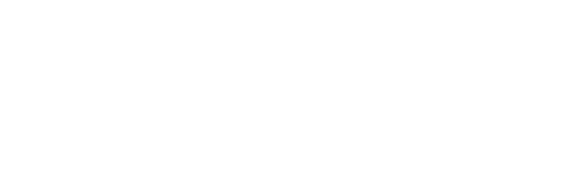 shingonet